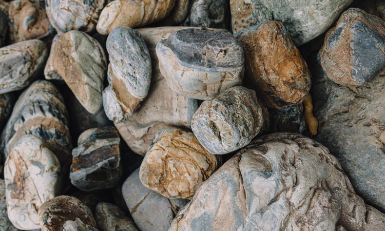 IMG_1343