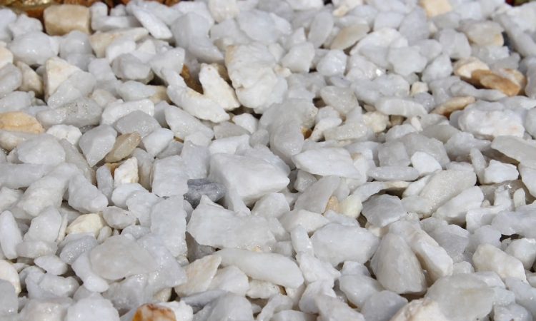 white_5